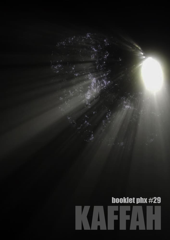 Vol. 29 <br> Kaffah